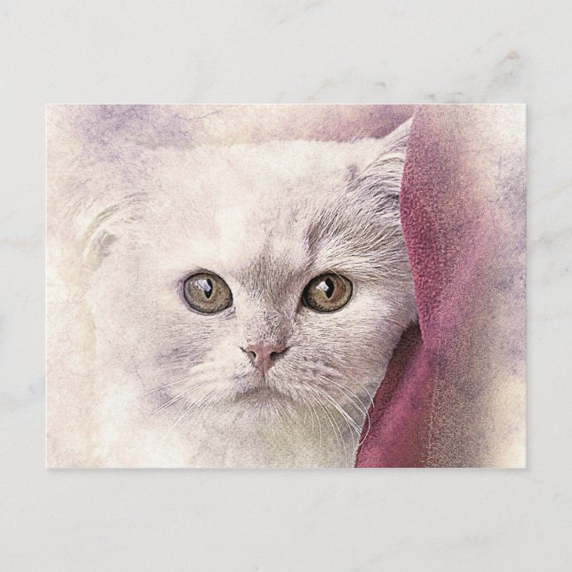 Snuggle Time Kitty | Abstract | Watercolor Postcard (Front)
