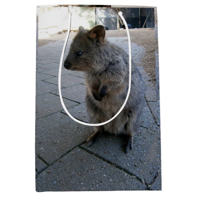 "Snuggles in Australia: A Cuddly Gray Quokka" Medium Gift Bag (Front)