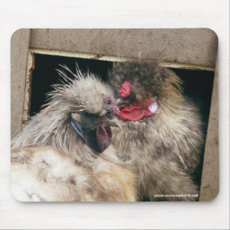 Snuggling Silkie Chickens Hens - Poultry Mousepad