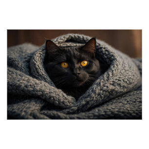Snuggly Black Cat and Blanket Poster