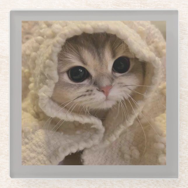 Snuggly Cat Glass Coaster (Front)