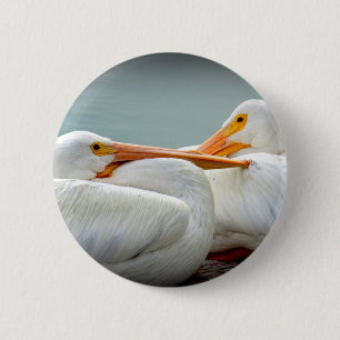 Snuggly Pelicans 6 Cm Round Badge
