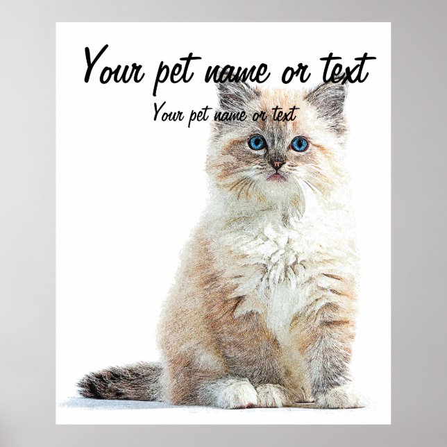 So Adorable and Cute, Ragdoll Cat Poster (Front)