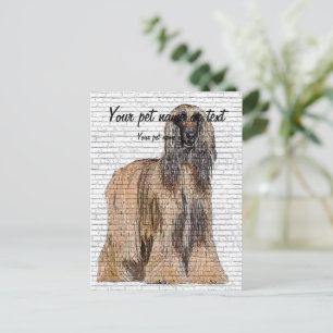 So Beautiful, Afghan Hound Dog Postcard