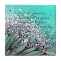 So Do Not Fear Isaiah 41:10 Bible Verse