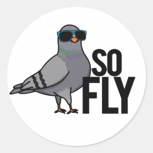 So Fly Funny Cool Pigeon Pun Classic Round Sticker