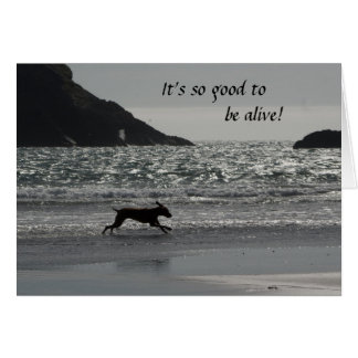 So good to be alive Card