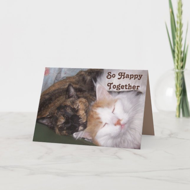So Happy Together Two Content Cats Anniversary Card (Front)