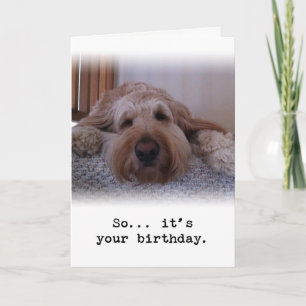 So... It's Your Birthday Card