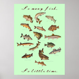 So Many Fish, So Little Time Poster