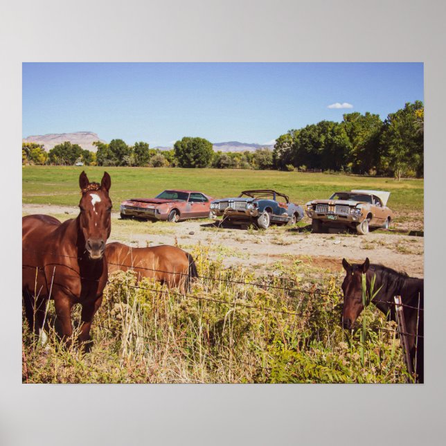 So Many Horses // Three Rusty Cars Poster (Front)