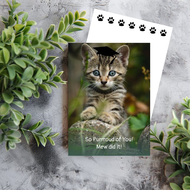So Purroud of You! Graduation Kitten (Creator Uploaded)