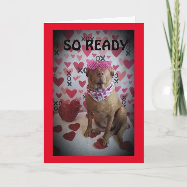 SO READY TO CELEBRATE OUR *ANNIVERSARY* CARD (Front)