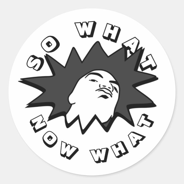 SO WHAT NOW WHAT Mug Shot Classic Round Sticker (Front)