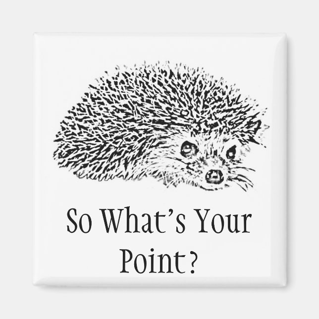 So What's Your Point? Magnet (Front)