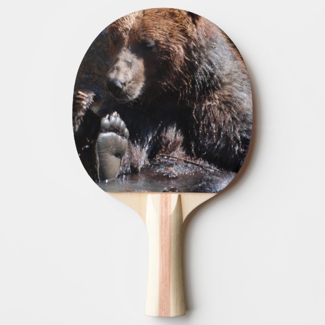 Soaking Bear Ping Pong Paddle (Front)