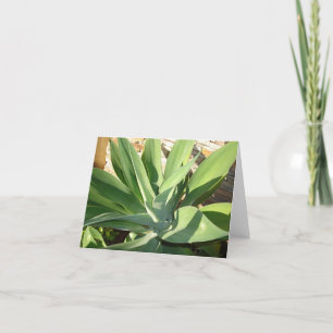 Soaking up the Sun Card