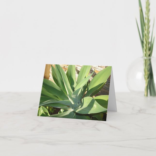 Soaking up the Sun Card (Front)