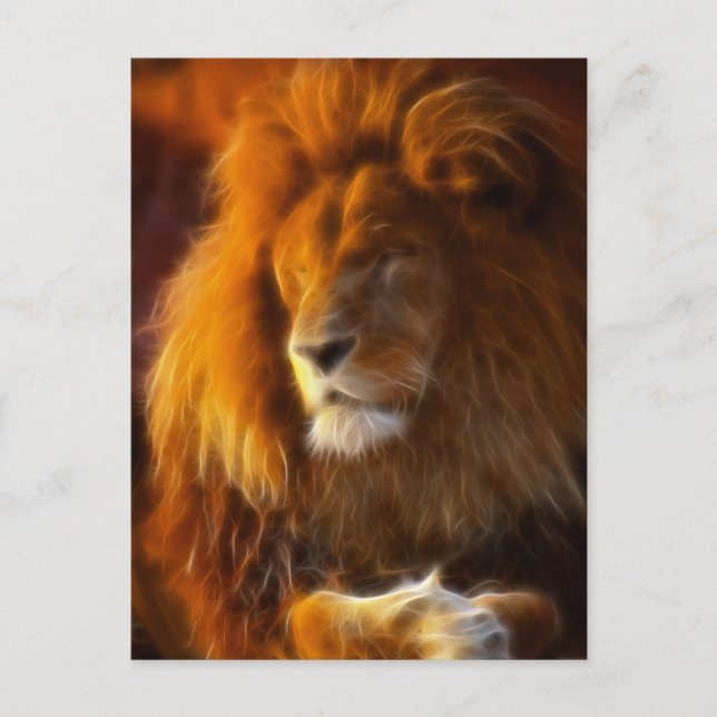 Soaking Up the Sun, King of the Jungle Lion II Postcard (Front)