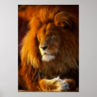 Soaking Up the Sun, King of the Jungle Lion II