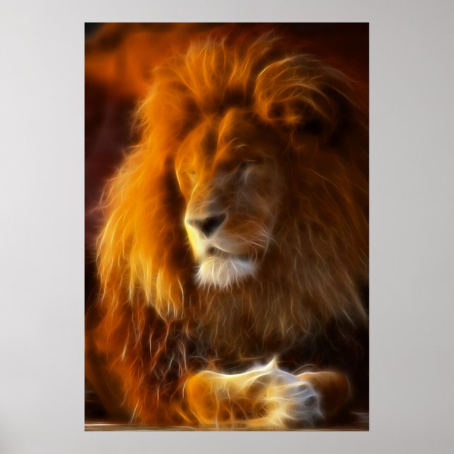 Soaking Up the Sun, King of the Jungle Lion II Poster (Front)