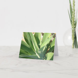 Soaking up the Sun v2 Card