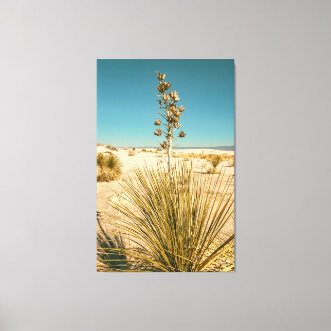 Soaptree Yucca at White Sands Canvas Print (Front)