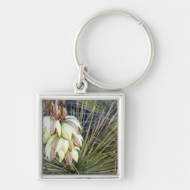 Soaptree Yucca Flowers In The Upper Missouri Key Ring (Front)