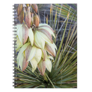 Soaptree Yucca Flowers In The Upper Missouri Spiral Notebook
