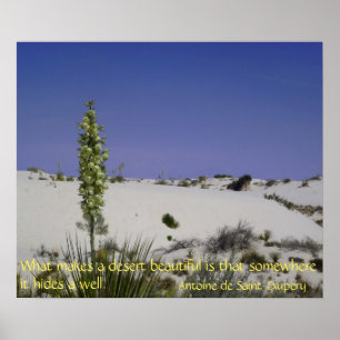 Soapweed Yucca Poster