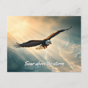 Soar above the storm postcard