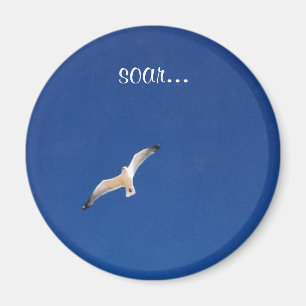 Soar... Magnet