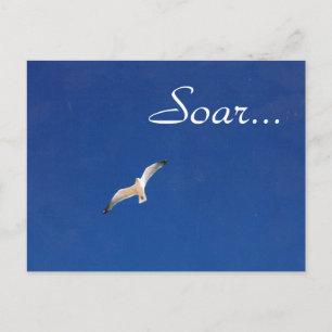 Soar Postcard