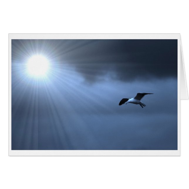 Soaring (Front Horizontal)