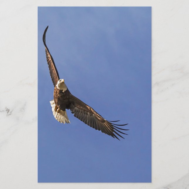 Soaring Bald Eagle Stationery (Front)