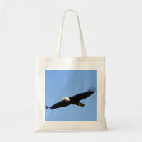 Soaring Bald Eagle
