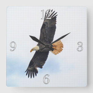 Soaring Bald Eagle Wildife Photo Art Square Wall Clock