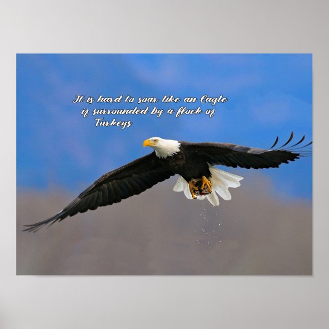 Soaring Eagle and Turkeys Poster (Front)