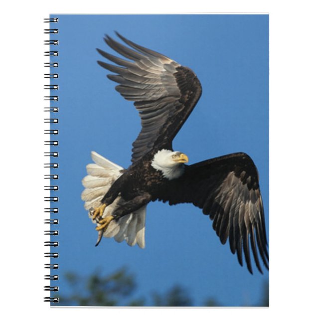 Soaring Eagle Spiral Notebook (Front)