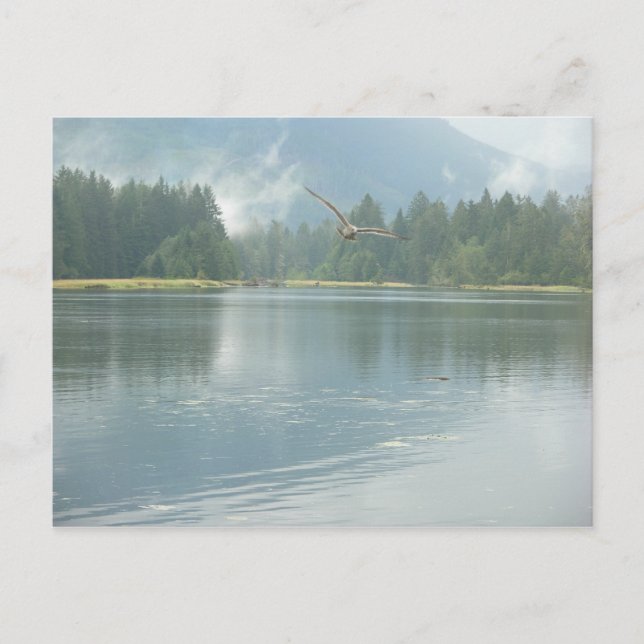 Soaring Free Postcard (Front)