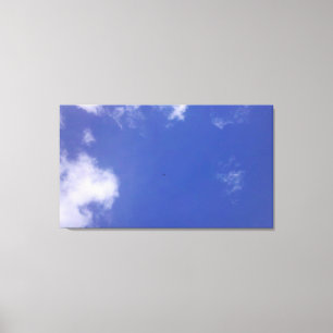 Soaring High Canvas Print