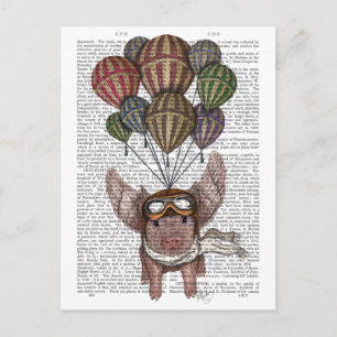 Soaring Pig Postcard