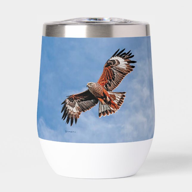 Soaring Red Kite (Front)