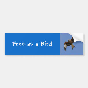 Soaring Red Kite Bumper Sticker