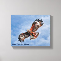 Soaring Red Kite