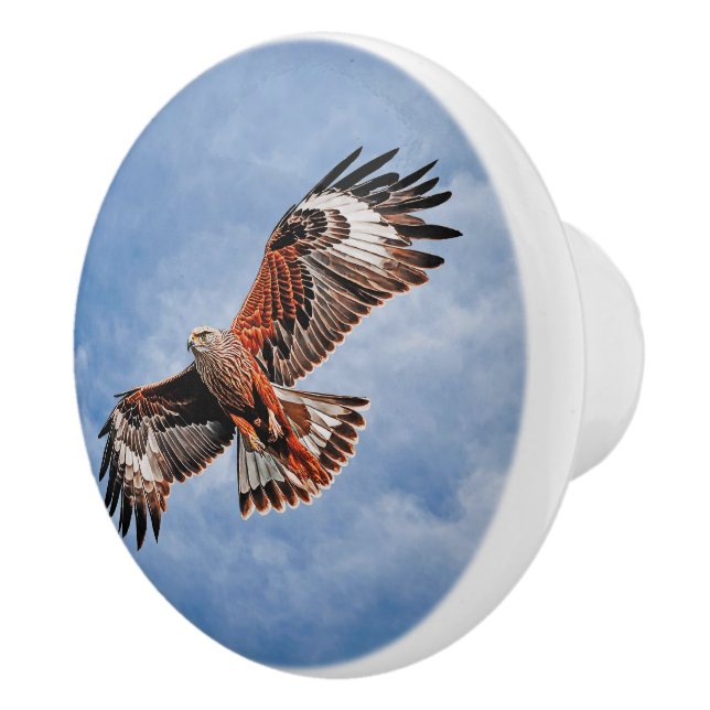 Soaring Red Kite Ceramic Knob (Right)