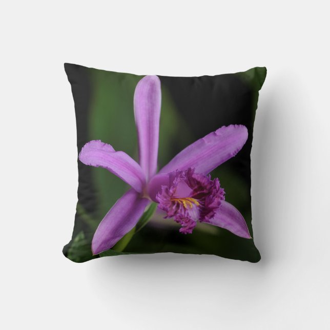 Sobralia Bouchei Cushion (Front)