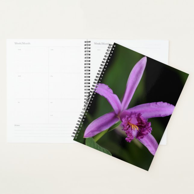 Sobralia Bouchei Planner (Display)
