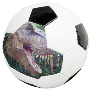 Soccer Ball Cute Dinosaur