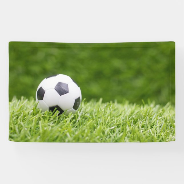 Soccer ball is on green grass background banner (Horizontal)